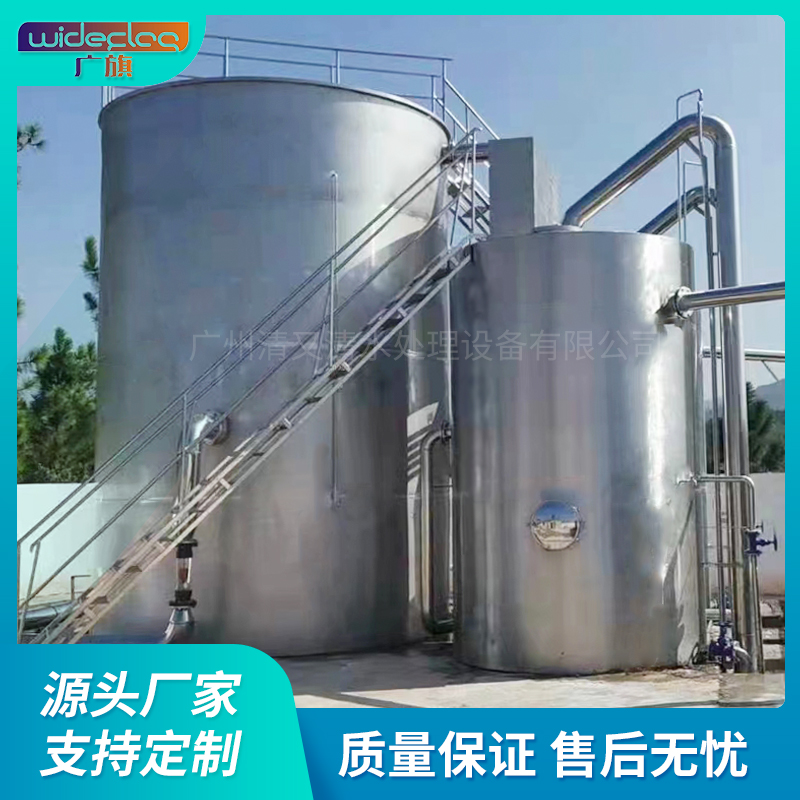 農村安全飲水江河水凈化不銹鋼凈水器 全自動水廠凈水設備